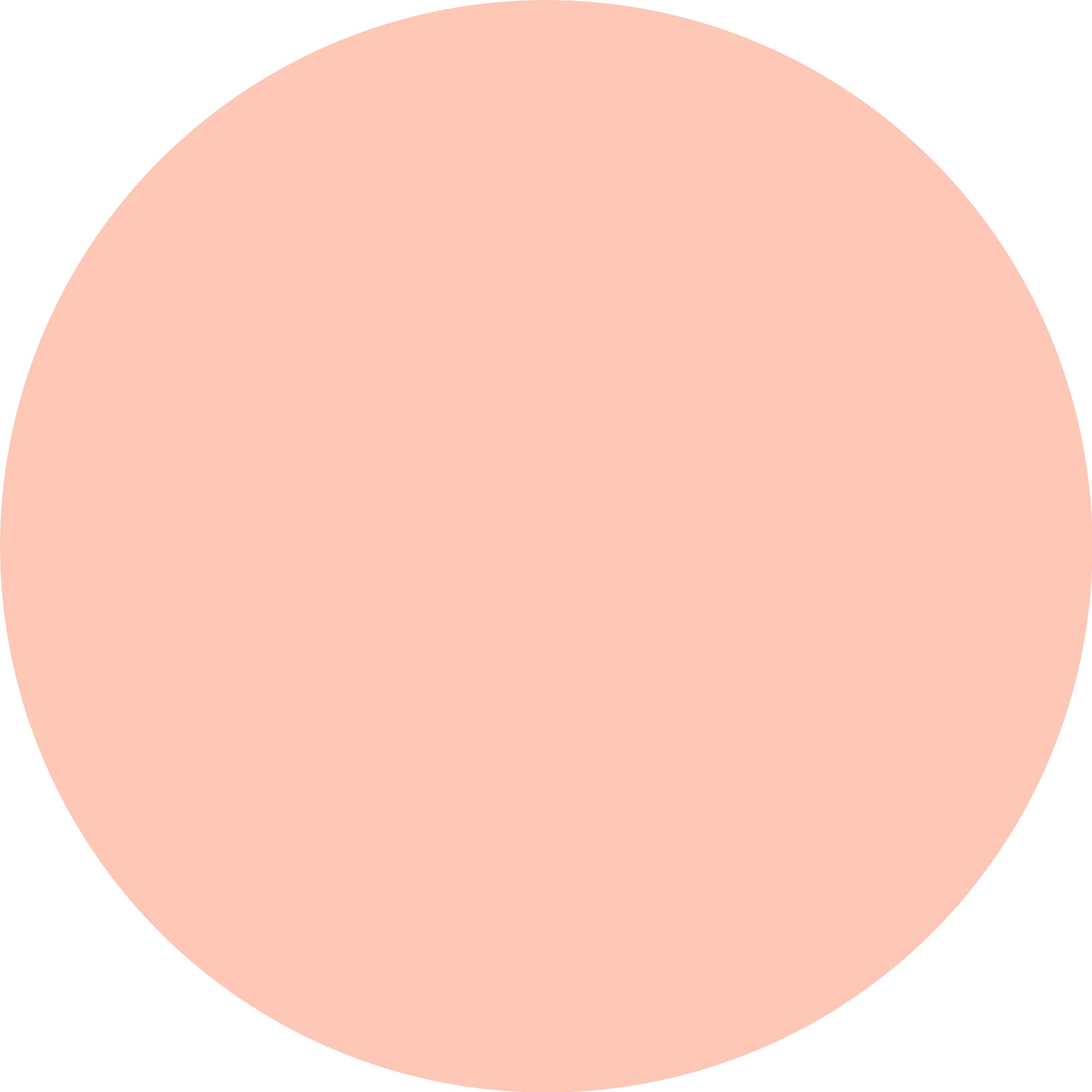 Calendário do Advento Essence Little X-mas Wonder – Edição Limitada 2025