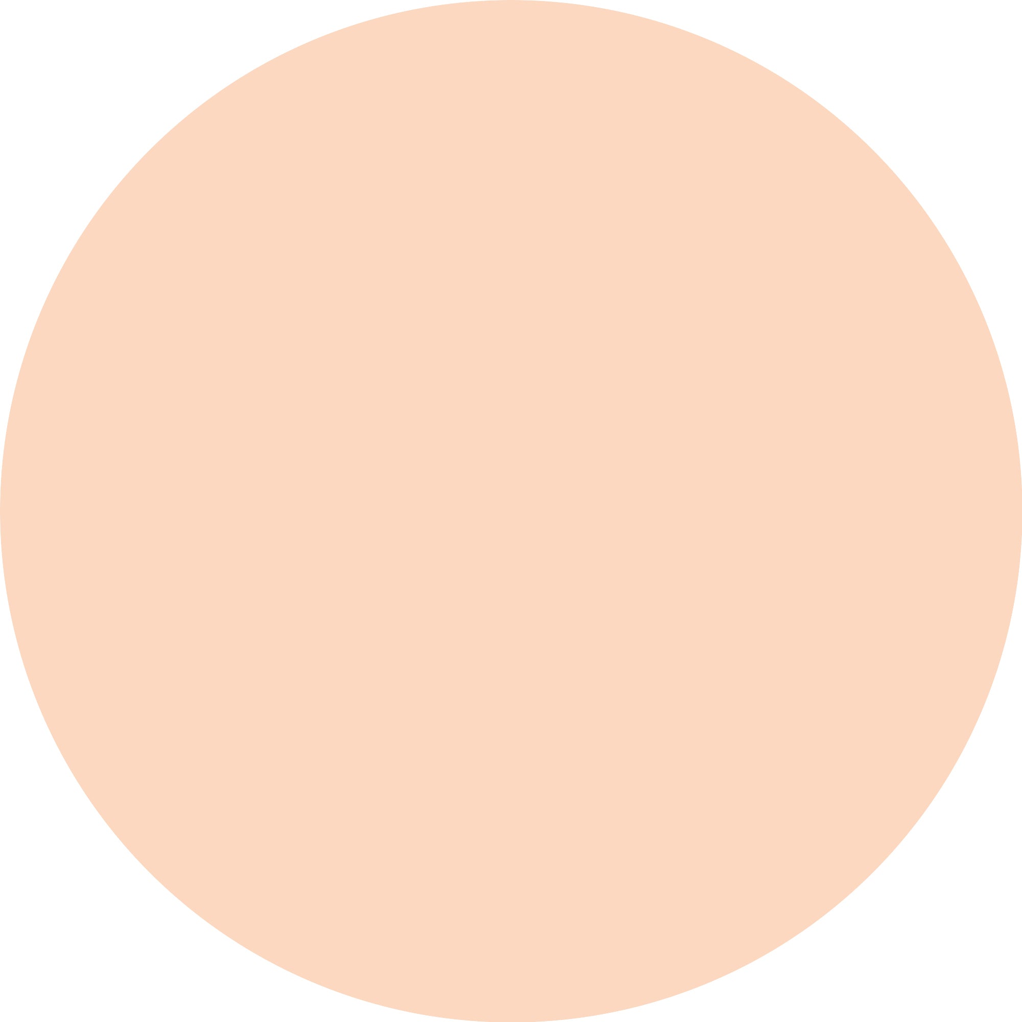 Calendário do Advento Essence Little X-mas Wonder – Edição Limitada 2025