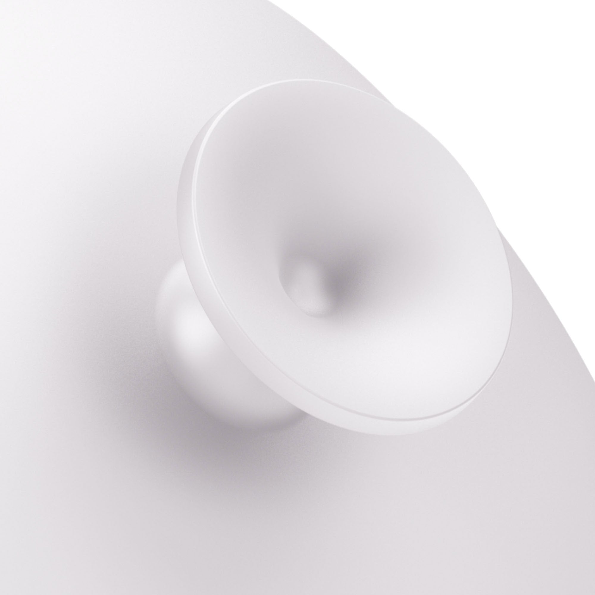 Starlight 4-in-1 Facial Brush