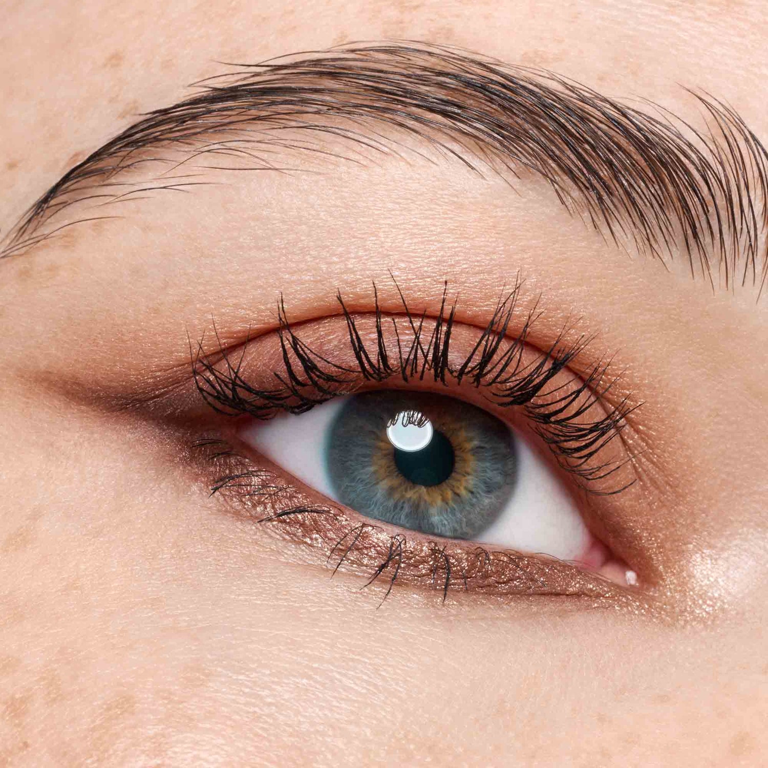 Catrice The Dark Cocoa Eyeshadow Palette