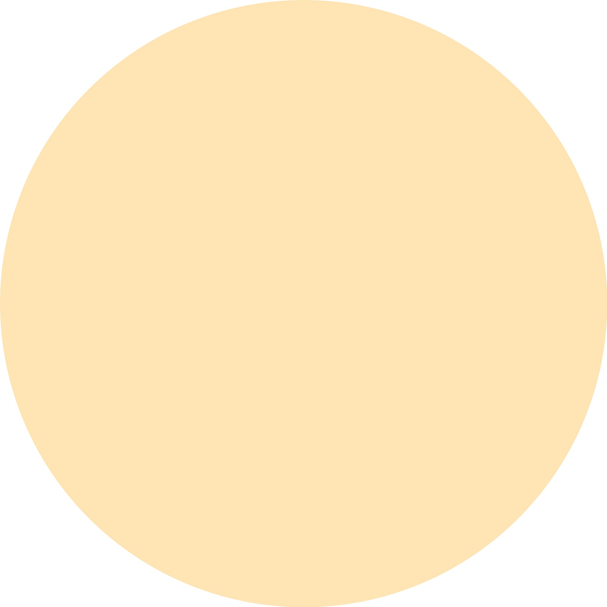 Calendário do Advento Essence Little X-mas Wonder – Edição Limitada 2025