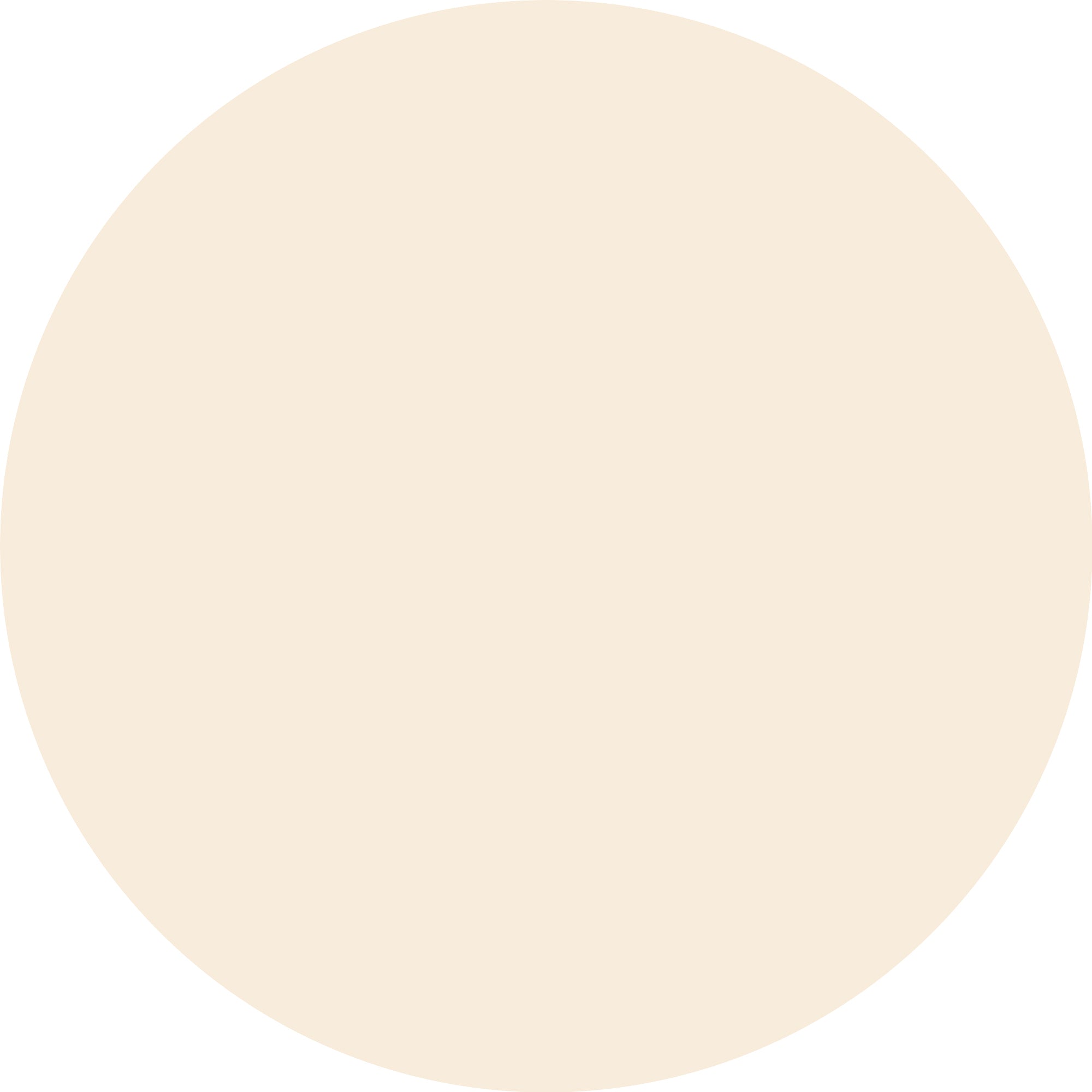 Calendário do Advento Essence Little X-mas Wonder – Edição Limitada 2025